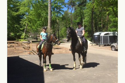 Camping & Bungalowpark Ommerland met eigen manege met paardenstalling VMP088